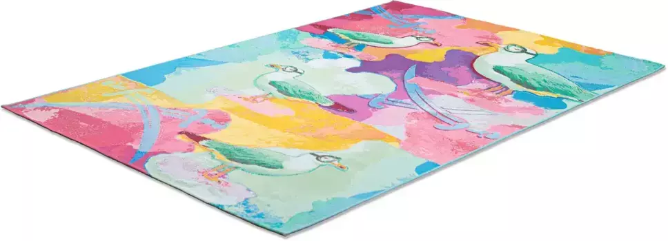 Ковер Sansibar "Rantum Beach SA-022", прямоугольный, плоского переплетения, современный дизайн, мотив чайки, подходит для использования внутри и снаружи помещений 60х100 см, цвет bunt