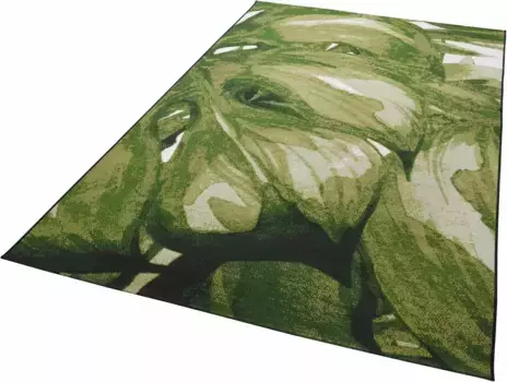 Ковер TOM TAILOR HOME "Garden Palm", прямоугольный, плоского переплетения, подходит для внутреннего и наружного использования, гостиная 160х230 см, светло-зеленый