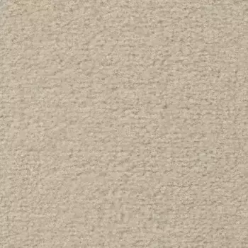 Ковер Vorwerk "Велюровый ковер Passion 1021 (Bingo)", прямоугольный, гостиная, спальня, детская, ширина 400/500 см 400х250 см, бежевый/белый