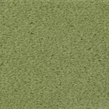 Ковер Vorwerk "Велюровый ковер Passion 1021 (Bingo)", прямоугольный, гостиная, спальня, детская, ширина 400/500 см 400х200 см, светло-зеленый