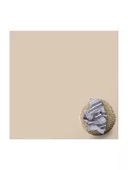 Ковер WALLART, цвет creme/beige