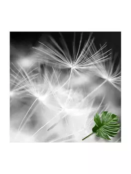 Ковер WALLART, цвет schwarz/wei