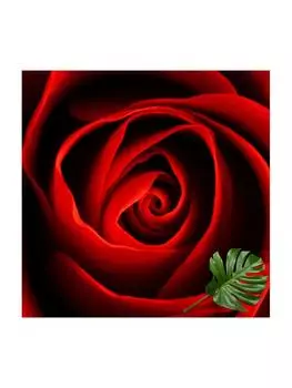 Ковер WALLART, красный