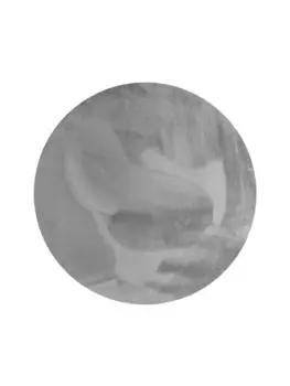 Ковер Wecon Home, серый