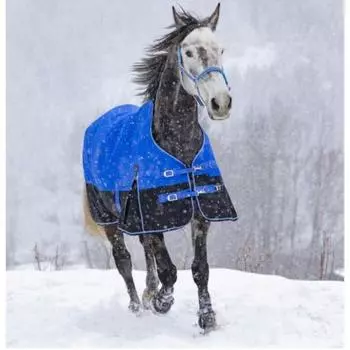 Попона Equithme 1200D Tyrex Aisance Highneck Combo 300г наполнитель зимняя, синий / черный