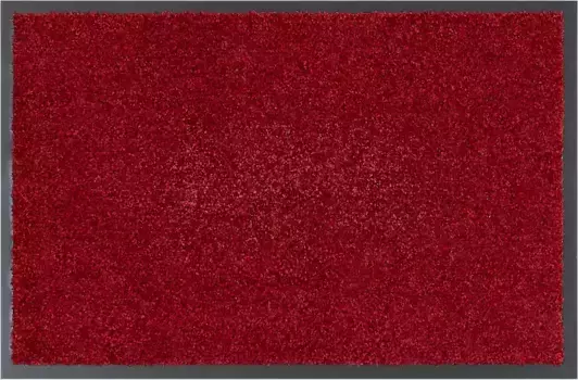 Коврик для дома "Fresh Step", прямоугольный, для прихожей, однотонный, противоскользящий, прочный, моющийся Home affaire 40х60 см, цвет bordeau