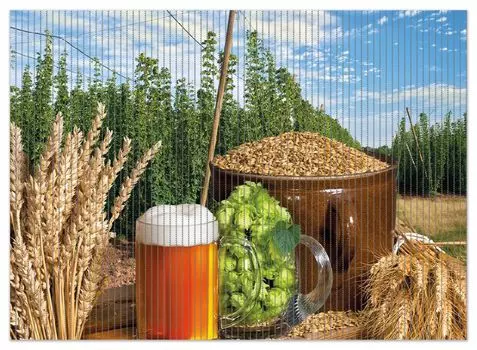 Коврик для душа Wallario, нескользящий коврик, коврик для ванной, коврик для двери, свежеразлитое пиво, хмель и солод, размер примерно 90 х 65 см, черный