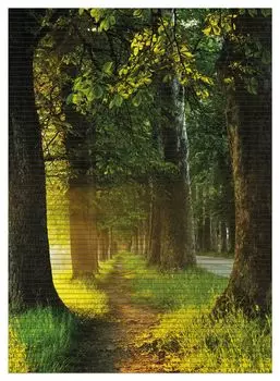 Коврик для душа Wallario, нескользящий коврик, коврик для ванной, коврик для двери, аллея на закате, размер ок. 90 х 65 см, черный