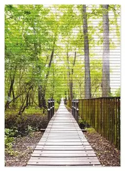 Коврик для душа Wallario, нескользящий коврик, коврик для ванной, коврик для ног, прогулка по лесу, деревянная дорожка над рекой, размер ок. 70 х 50 см, желтый