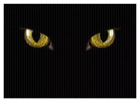 Коврик для душа Wallario, нескользящий коврик, коврик для ванной, коврик для двери, желтые кошачьи глаза ночью, размер ок. 70 х 50 см, черный