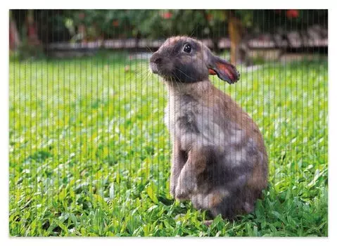 Коврик для душа Wallario, нескользящий коврик, коврик для ванной, коврик для двери, милый кролик в саду, размер примерно 70 х 50 см, зеленый