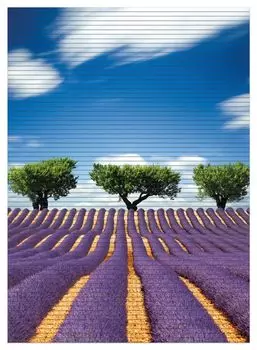 Коврик для душа Wallario, нескользящий коврик, коврик для ванной, коврик для двери, абстрактное фиолетовое цветочное поле с лавандой, размер примерно 90 х 65 см, синий