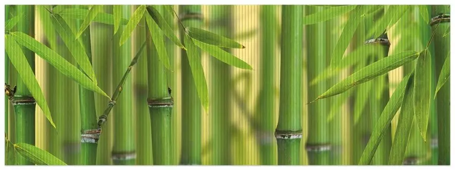 Коврик для душа Wallario, нескользящий коврик, коврик для ванной, коврик для двери, зеленый бамбуковый лес, размер ок. 180 x 65 см