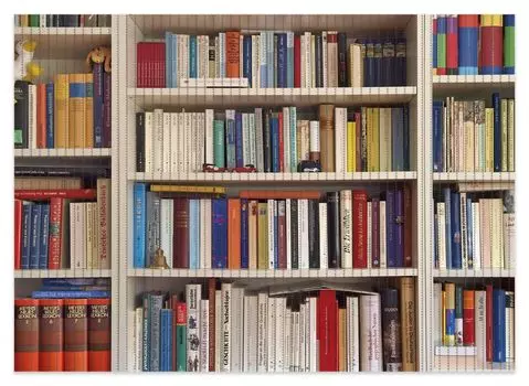 Коврик для душа Wallario, нескользящий коврик, коврик для ванной, коврик для двери, белая книжная полка с разными книгами, размер примерно 70 х 50 см, коричневый