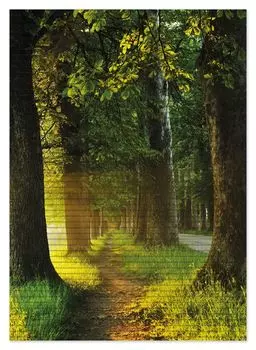 Коврик для душа Wallario, нескользящий коврик, коврик для ванной, коврик для двери, аллея на закате, размер ок. 70 х 50 см, черный