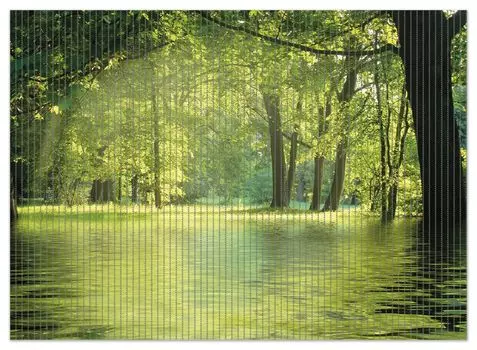 Коврик для душа Wallario, нескользящий коврик, коврик для ванной, коврик для двери, идиллическое озеро в солнечном лесу, размер примерно 90 х 65 см, зеленый