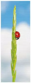 Коврик для душа Wallario, нескользящий коврик, коврик для ванной, коврик для двери, зернистая божья коровка, размер ок. 180 х 65 см, синий