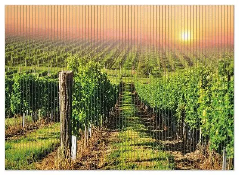 Коврик для душа Wallario, нескользящий коврик, коврик для ванной, коврик для двери, виноградник с заходящим солнцем, размер ок. 90 х 65 см, черный