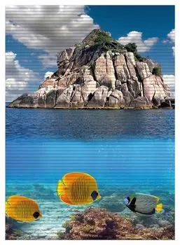 Коврик для душа Wallario, нескользящий коврик, коврик для ванной, коврик для двери, экзотическая морская рыба, размер ок. 90 х 65 см, синий