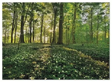 Коврик для душа Wallario, нескользящий коврик, коврик для ванной, коврик для двери, лесные анемоны и солнечные лучи в лесу, размер примерно 90 х 65 см, черный