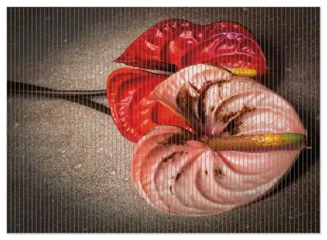 Коврик для душа Wallario, нескользящий коврик, коврик для ванной, коврик для ног, цветы фламинго - антуриум - на черном мраморе, размер ок. 90 х 65 см, черный