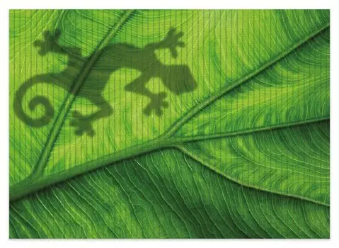 Коврик для душа Wallario, нескользящий коврик, коврик для ванной, коврик для двери Gecko Shadow на зеленом листе - контур, размер ок. 70 x 50 см, черный