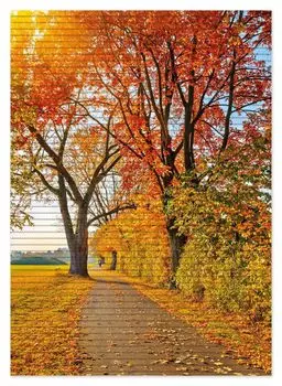 Коврик для душа Wallario, нескользящий коврик, коврик для ванной, коврик для двери, осенняя лесная тропинка с разноцветными листьями, размер примерно 70 х 50 см, черный