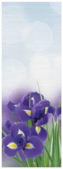 Коврик для душа Wallario, нескользящий коврик, коврик для ванной, коврик для двери, абстрактные синие ирисы крупным планом, размер примерно 180 x 65 см, белый