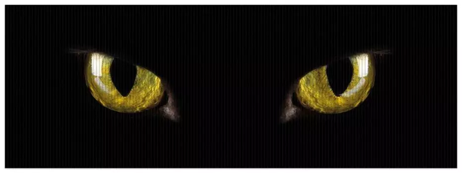 Коврик для душа Wallario, нескользящий коврик, коврик для ванной, коврик для двери, желтые кошачьи глаза ночью, размер ок. 180 х 65 см, черный