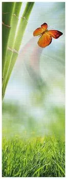 Коврик для душа Wallario, нескользящий коврик, коврик для ванной, коврик для двери, зеленая бабочка с бамбуком, размер ок. 180 х 65 см, зеленый