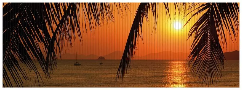 Коврик для душа Wallario, нескользящий коврик, коврик для ванной, коврик для двери, закат под пальмовыми листьями, размер ок. 180 х 65 см, черный