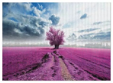 Коврик для душа Wallario, нескользящий коврик, коврик для ванной, коврик для двери, Сюрреалистическое цветочное поле, фиолетовые цветы в поле, размер ок. 90 х 65 см, розовый