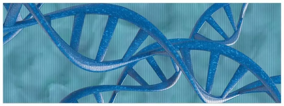 Коврик для душа Wallario, нескользящий коврик, коврик для ванной, коврик для двери, нить ДНК синего цвета на бирюзовом фоне, размер примерно 180 х 65 см, синий