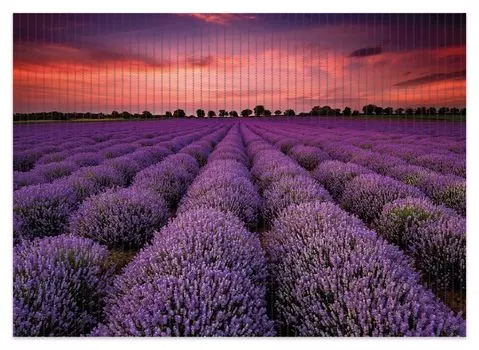 Коврик для душа Wallario, нескользящий коврик, коврик для ванной, коврик для двери, лавандовое поле под красным небом, размер ок. 70 х 50 см, черный