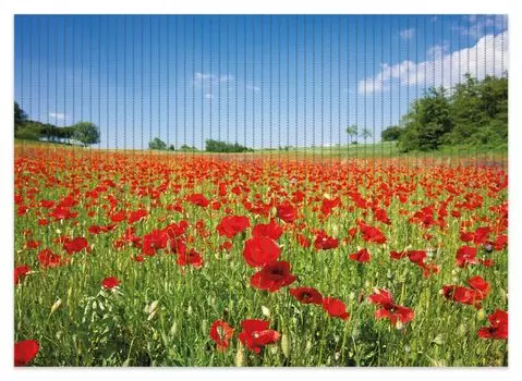 Коврик для душа Wallario, нескользящий коврик, коврик для ванной, коврик для двери, маковое поле - красные цветы под голубым небом, размер ок. 70 х 50 см, зеленый