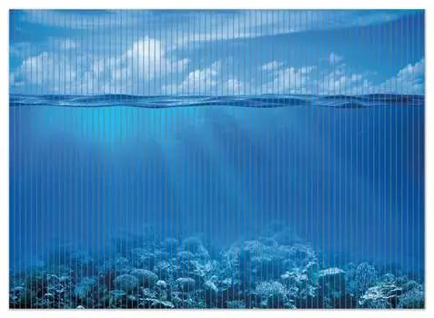 Коврик для душа Wallario, нескользящий коврик, коврик для ванной, коврик для двери, подводный мир, размер ок. 90 х 65 см, черный