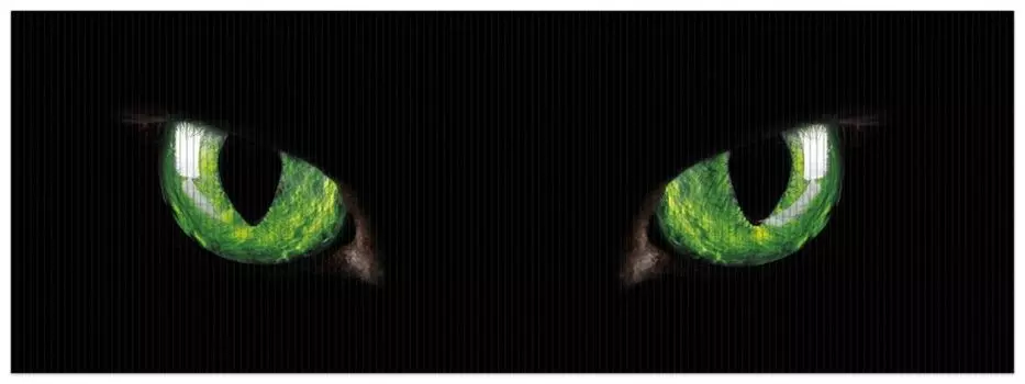 Коврик для душа Wallario, нескользящий коврик, коврик для ванной, коврик для двери, зеленые кошачьи глаза ночью, размер ок. 180 х 65 см, черный