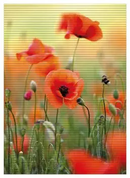 Коврик для душа Wallario, нескользящий коврик, коврик для ванной, коврик для двери, цветы мака, размер ок. 90 х 65 см, желтый