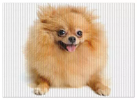 Коврик для душа Wallario, нескользящий коврик, коврик для ванной, коврик для двери, забавный милый шпиц, размер ок, белый