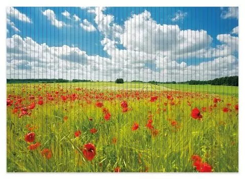 Коврик для душа Wallario, нескользящий коврик, коврик для ванной, коврик для двери, зеленый луг с маками, размер ок. 70 х 50 см, желтый