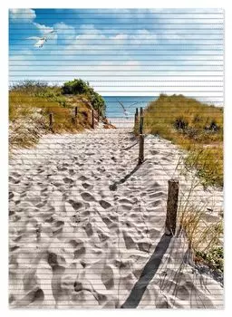 Коврик для душа Wallario, нескользящий коврик, коврик для ванной, коврик для ног, чайки по дороге на пляж, размер примерно 70 х 50 см, коричневый