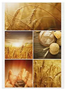 Коврик для душа Wallario, нескользящий коврик, коврик для ванной, коврик для двери, зерна и хлеб из пшеницы, размер примерно 90 х 65 см, коричневый