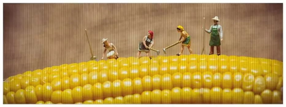 Коврик для душа Wallario, нескользящий коврик, коврик для ванной, коврик для двери, забавные фигурки фермеров на початках кукурузы во время работы, размер примерно 180 х 65 см, черный