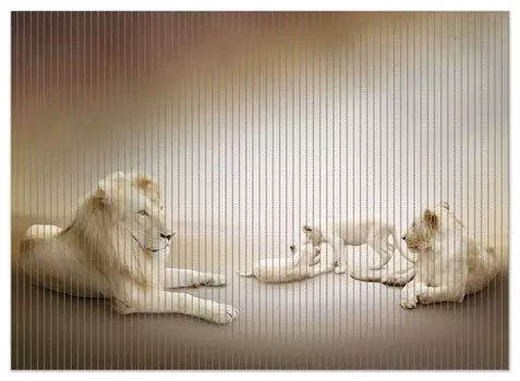 Коврик для душа Wallario, нескользящий коврик, коврик для ванной, коврик для двери, семейство львов с молодыми животными, размер ок. 90 х 65 см, коричневый