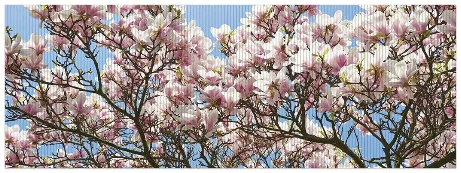 Коврик для душа Wallario, нескользящий коврик, коврик для ванной, коврик для двери, красивые розовые цветы магнолии на фоне голубого неба, размер примерно 180 х 65 см, синий