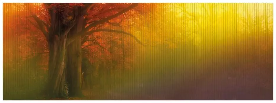 Коврик для душа Wallario, нескользящий коврик, коврик для ванной, коврик для двери, красочный осенне-лесной пейзаж в тумане радужных цветов, размер ок. 180 х 65 см, коричневый