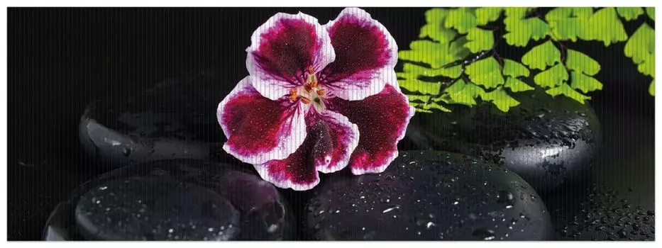 Коврик для душа Wallario, нескользящий коврик, коврик для ванной, коврик для ног, цветы герани на черных камнях, смоченные каплями воды, размер ок. 180 х 65 см, черный