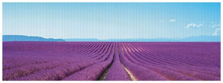 Коврик для душа Wallario, нескользящий коврик, коврик для ванной, коврик для двери, лавандовое поле под голубым небом, размер ок. 180 х 65 см, черный