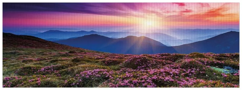 Коврик для душа Wallario, нескользящий коврик, коврик для ванной, коврик для двери, цветущий луг на закате, размер ок. 180 х 65 см, черный