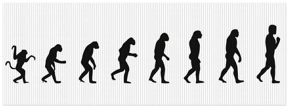 Коврик для душа Wallario, нескользящий коврик, коврик для ванной, коврик для двери Evolution - Развитие человека, размер ок. 180 х 65 см, белый